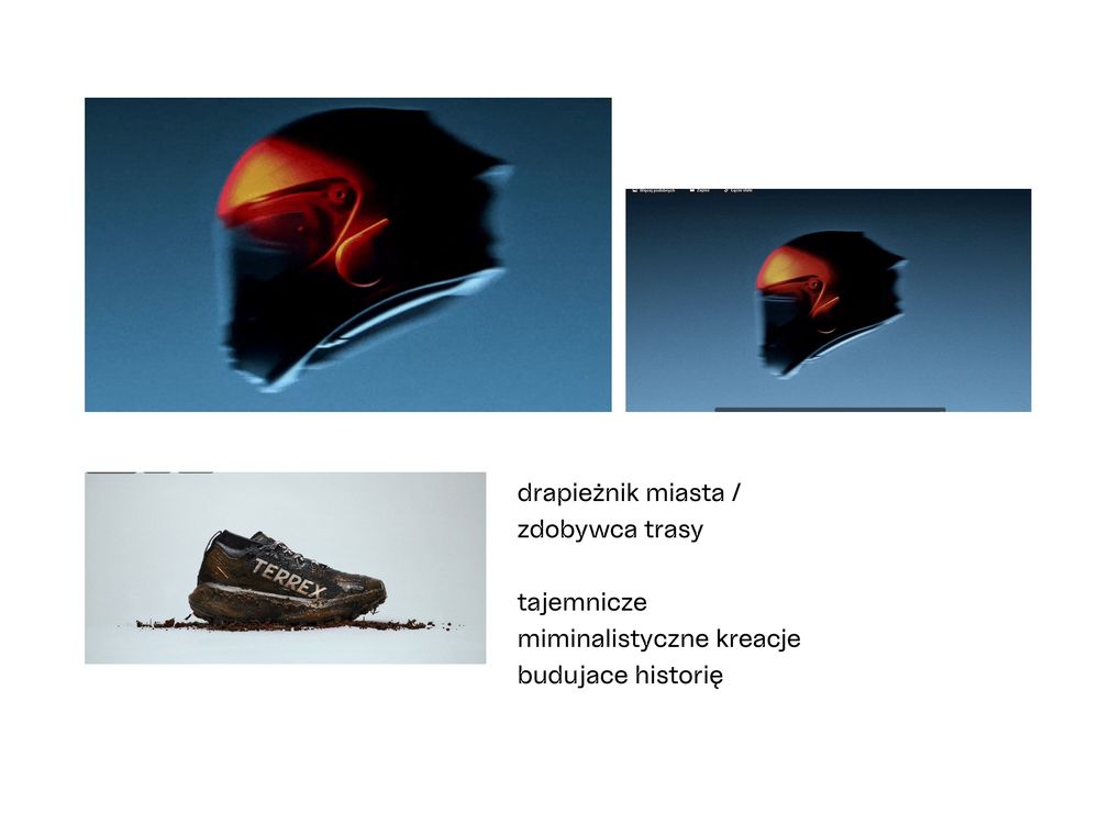 Kierunek: drapieżnik miasta